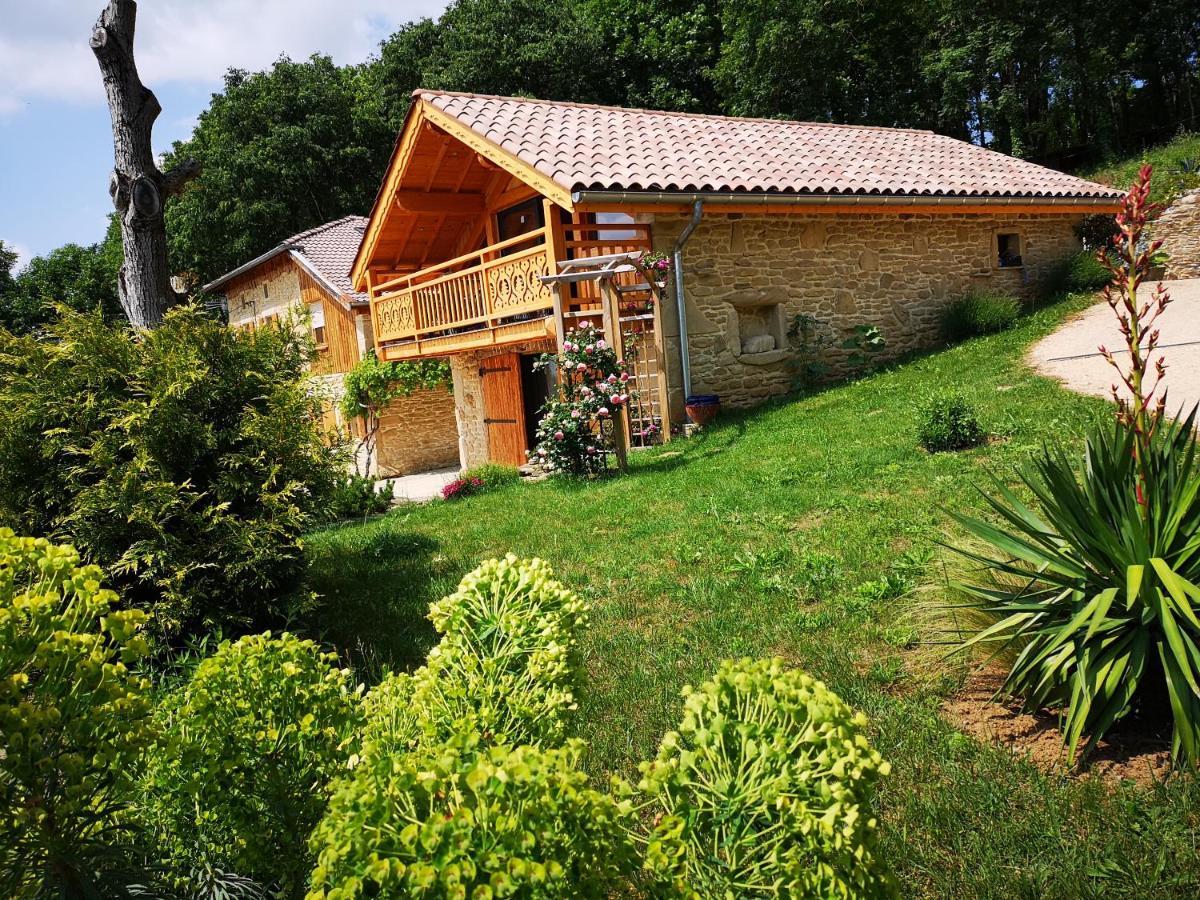 Chalet Le Clos De L'Orme Saint-Lattier Bagian luar foto