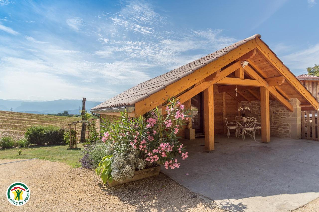 Chalet Le Clos De L'Orme Saint-Lattier Bagian luar foto
