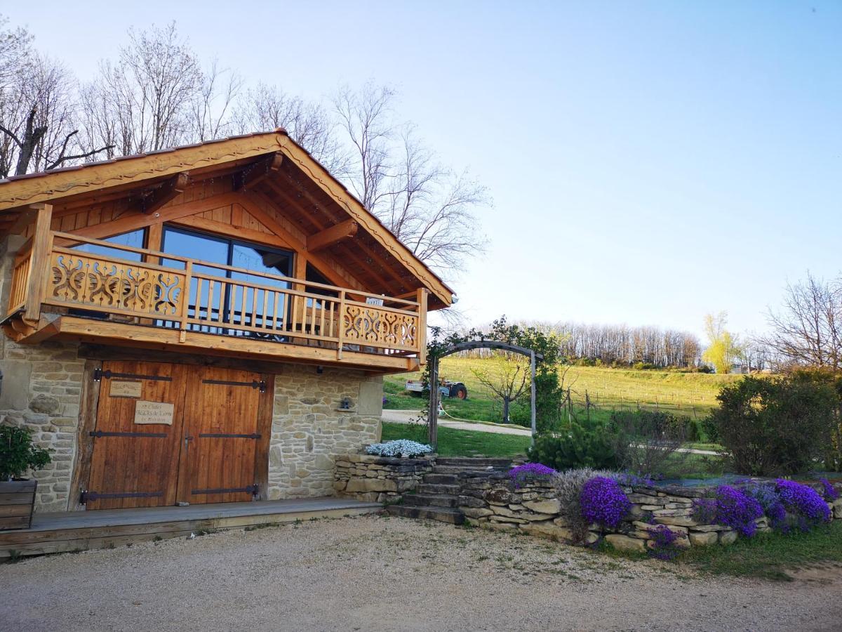 Chalet Le Clos De L'Orme Saint-Lattier Bagian luar foto